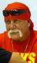 toggleShow more about Hulk Hogan Hulk Hogan quotes