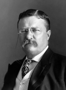 toggleShow more about Roosevelt, Theodore Roosevelt, Theodore quotes