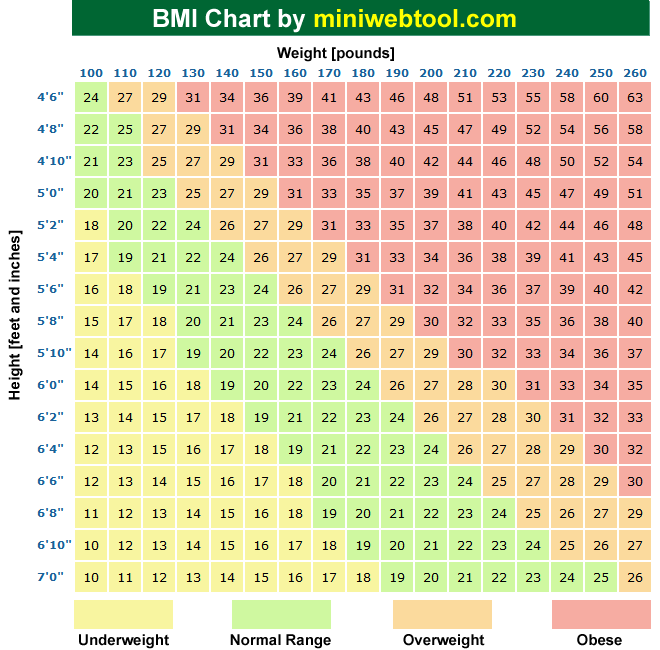bmi calculator chart women